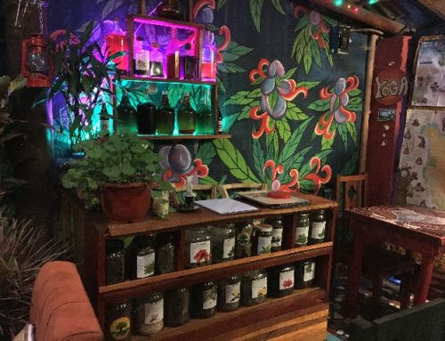 Baños – Wilde Natur auch auf dem Teller…