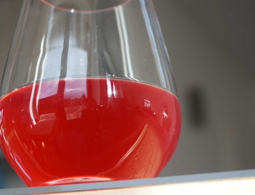 Heißhunger adé – Wie du mit Fermentsäften deine Darmflora stärkst