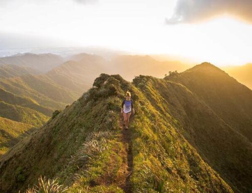 Der schmale Grat vom Genuss zum Muss
