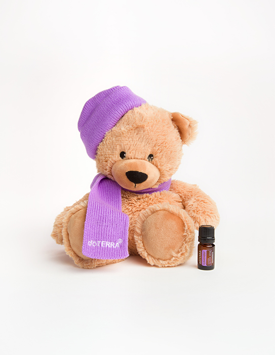 20201030132147_Bear_lavender_VO_543x702